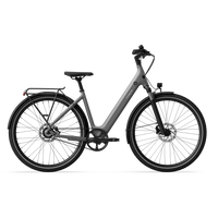 TENWAYS CGO800S e-bike met lage instap in Pebble Grey (grijs)