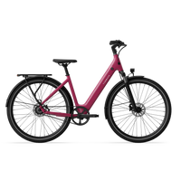 TENWAYS CGO800S e-bike met lage instap in Wild Berry (roze)