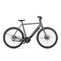 VELORETTI Ace Two Lite e-bike met hoge instap in Graphite (grafietgrijs)