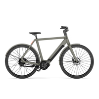 VELORETTI Ace Two Pro elektrische fiets met hoge instap in Graphite (grafietgrijs)