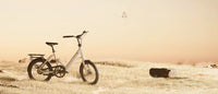 TENWAYS CGO Compact in Sandstone Beige in de duinen, in warm avondlicht