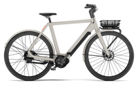 Op de fiets: VELORETTI Ace Two in Dune met voordrager en Cargo Basket Two, van opzij