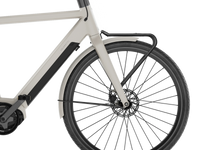 Op de fiets: VELORETTI Voordrager Two op een Ace Two in Dune, van dichtbij