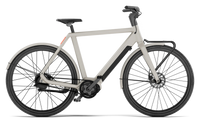 Op de fiets: VELORETTI Ace Two in Dune met de Voordrager Two, van opzij