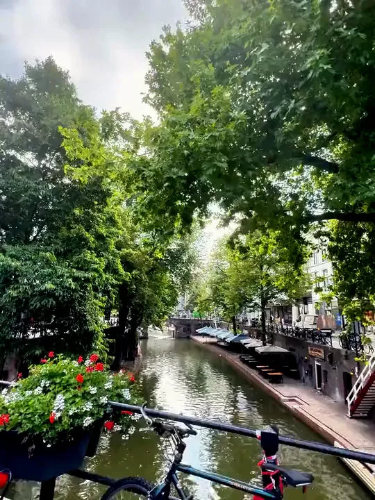 Gliding along the canals. This is Utrecht at its best. ✨