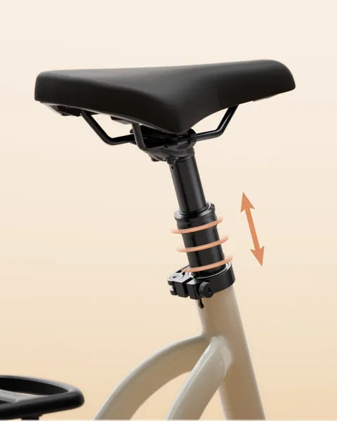 Zadelpen van de TENWAYS CGO Compact